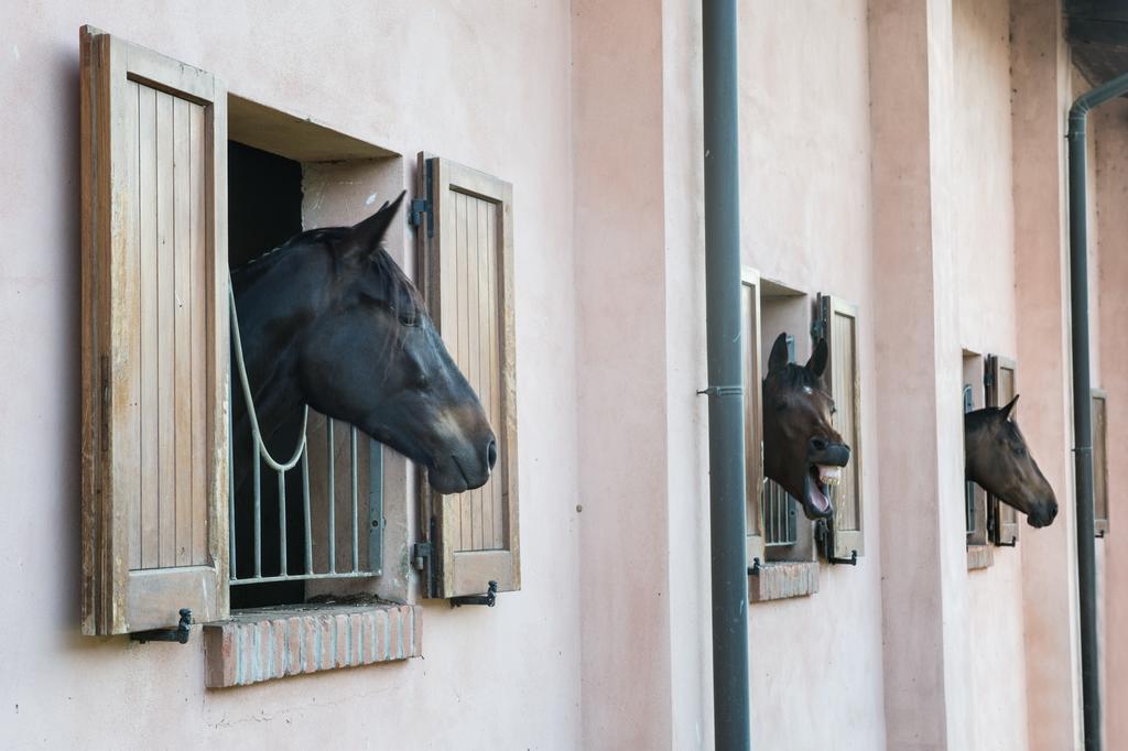 San Giacomo Horses & Agriturismo Arluno Luaran gambar